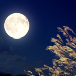 マック「月見ファミリー」はいつからいつまで?メニュー・カロリーは?