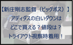 【新庄剛志】アディダスの白ダウンはどこで買える?値段は?トライアウト時着用!