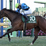 オニャンコポンの意味は？名前の由来や馬主を調査！進撃の巨人との関係は？