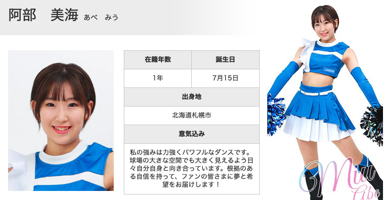 ー品販売  ファイターズガール タペストリー 阿部美海 くみたて その他