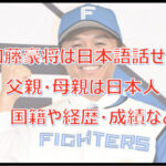 加藤豪将は日本語が話せる?父親・母親は日本人?国籍・経歴・成績など