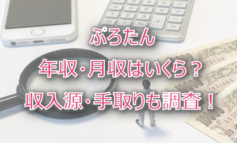 ぷろたんの年収・月収は？収入源・手取りも調査！YouTube収入で1億円以上？