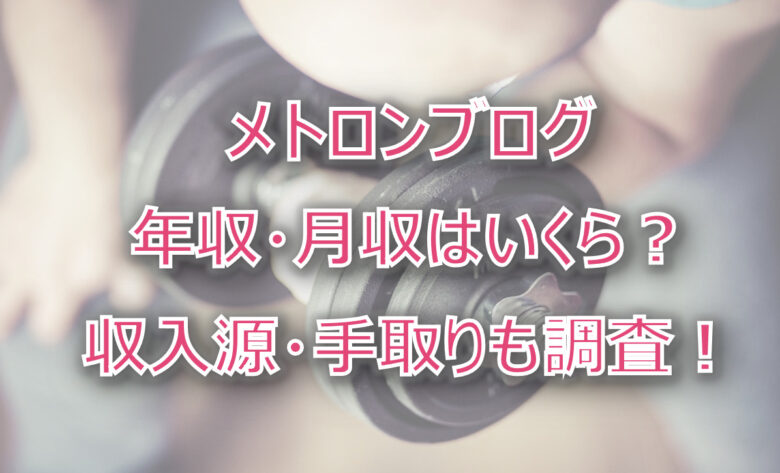 メトロンブログの年収・月収は？収入源・手取りも調査！