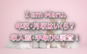 I am Maru.の年収・月収は?収入源・手取りも調査!