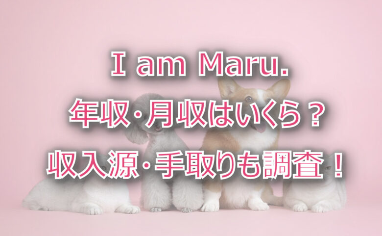 I am Maru.の年収・月収は？収入源・手取りも調査！