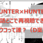 HUNTER×HUNTER最終話どこで再視聴できる(D案)?ノウコって誰?