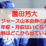 園田芳大の年収・月収はいくら?給料はどこから出ているかも調査!