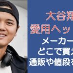 大谷翔平のヘッドホンのメーカーは?どこで買える?通販や値段を調査!
