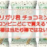 【ガリガリ君チョコミント】コンビニどこで買える？川柳は当たり棒ではない？