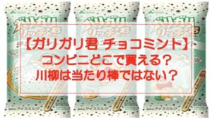 【ガリガリ君チョコミント】コンビニどこで買える?川柳は当たり棒ではない?