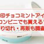 【無印チョコミントアイス】コンビニでも買える？売り切れ・再販も調査！