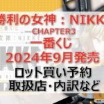 NIKKE3一番くじロット買い・アソート内訳!取扱店舗はどこ?2024年9月