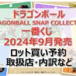 ドラゴンボール一番くじロット買い・アソート内訳！取扱店舗はどこ？2024年9月